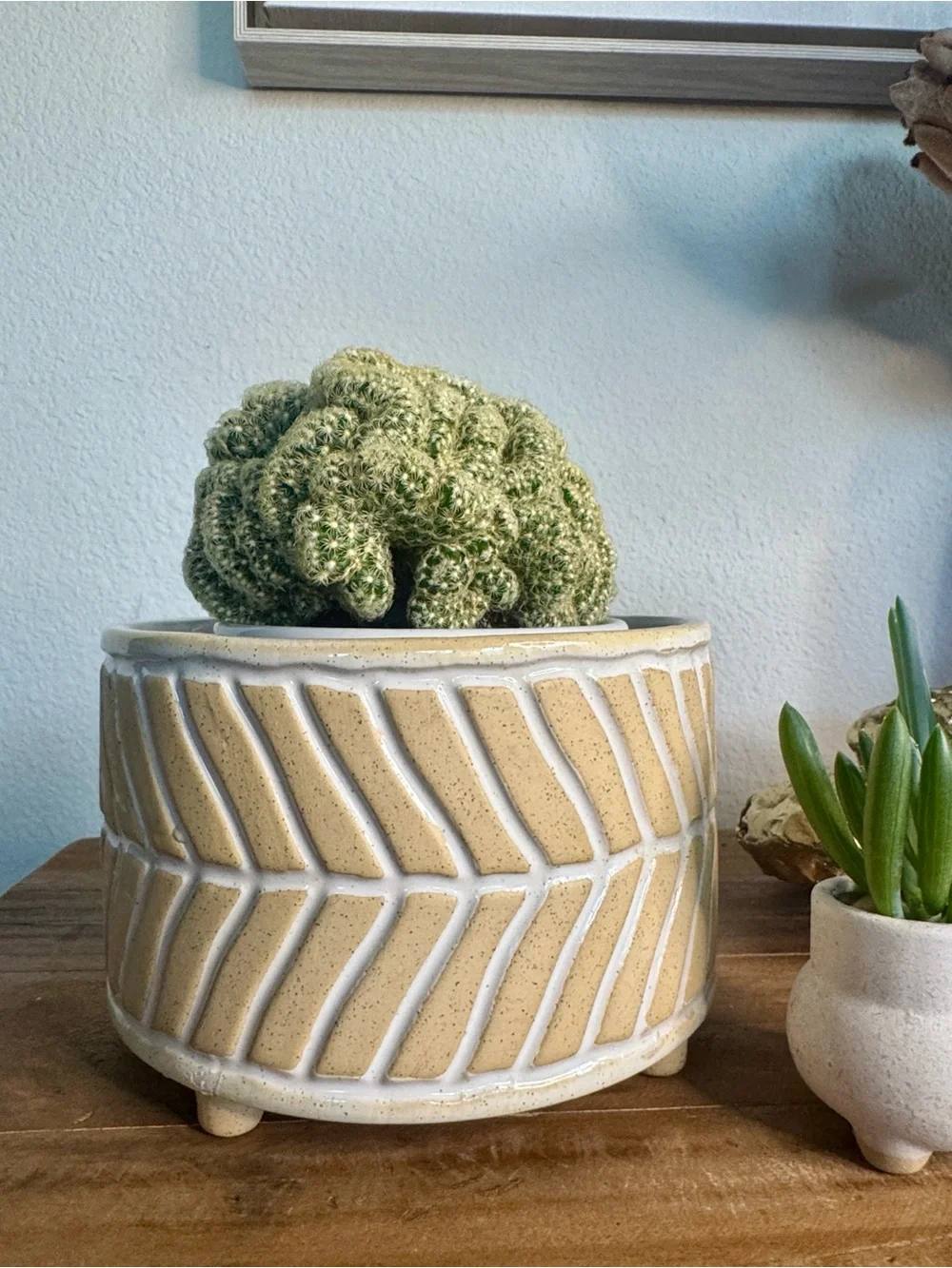 Neutral Chevron Ceramic 6” Plant Pot